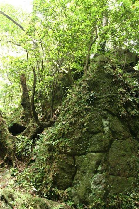 七星山金字塔|凱達格蘭山】